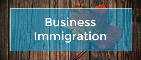 business immigration law